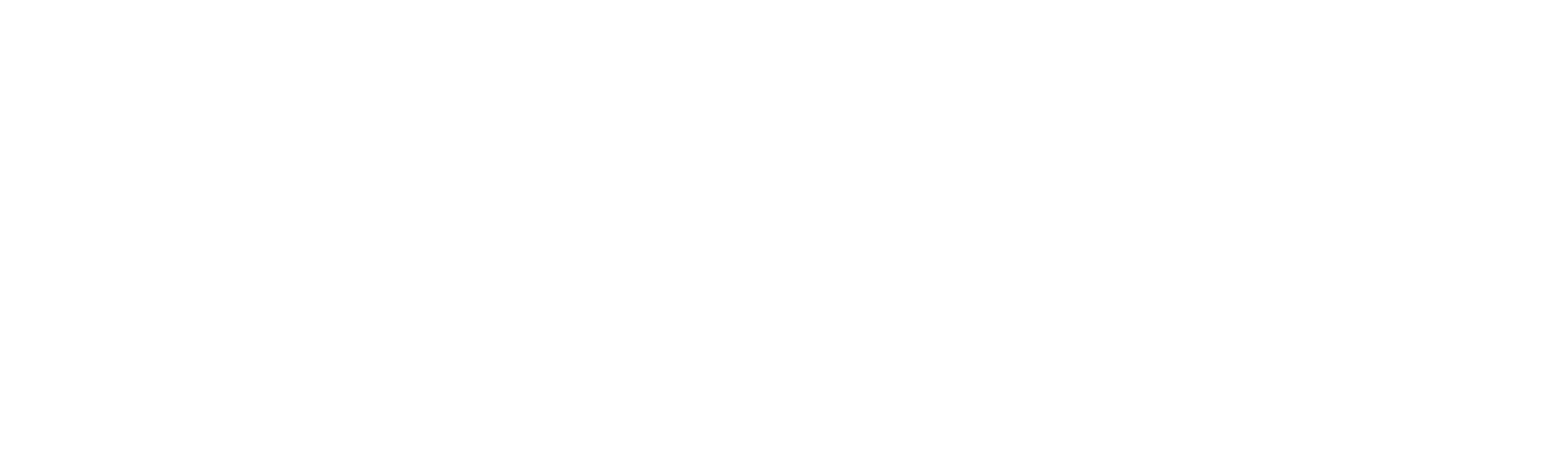 RiverArc Project logo